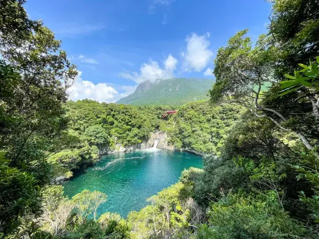 世界遺産の島で働く、新しい暮らし。屋久島で叶える、仕事も休日も大満足。
