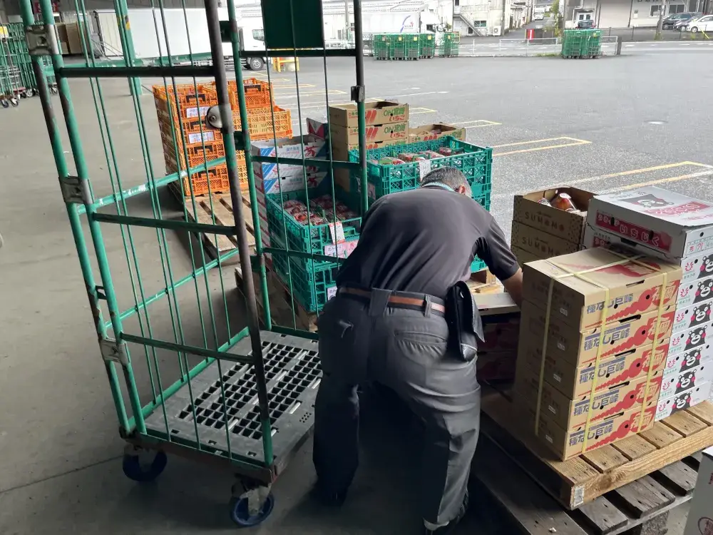 年齢不問！青果物仕分け作業員