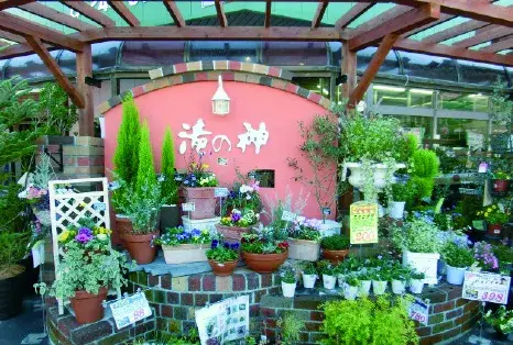 園芸店の正社員バイヤー募集！