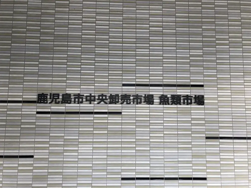 40～50代活躍可能！60代のスタッフさんも在籍中！未経験の方、大歓迎の食堂キッチンスタッフ募集