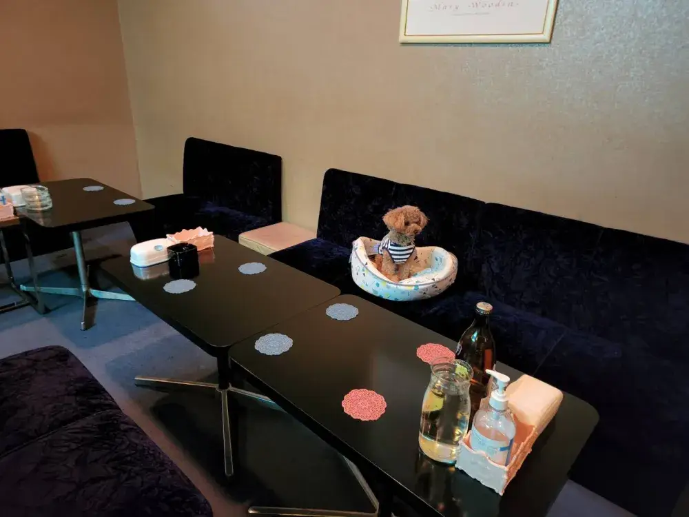 レギュラー・アルバイト募集  ■体験入店大歓迎! 