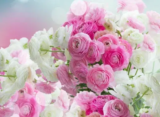 ＜マンションなどの定期清掃＞清掃スタッフ募集