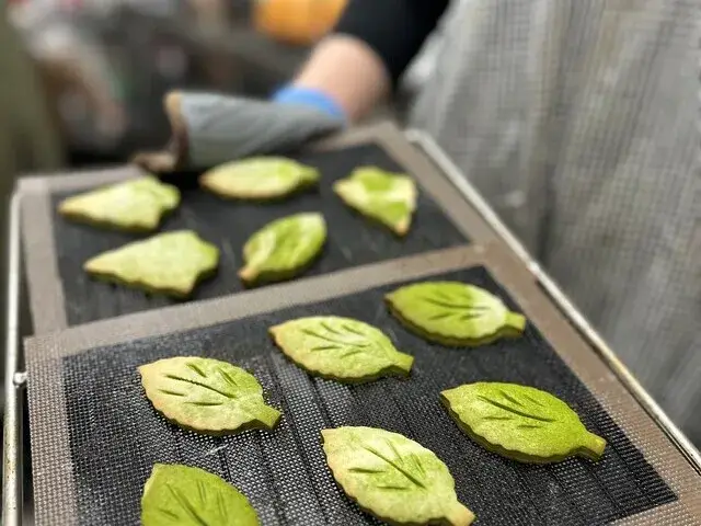 カフェの調理スタッフ募集（未経験歓迎）