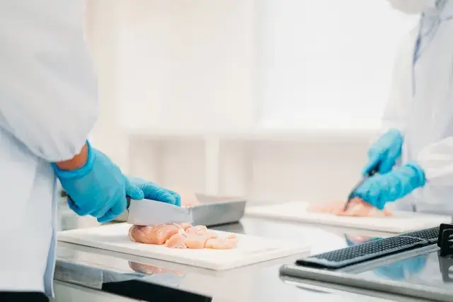 【扶養内・フルタイム選択OK】週２日〜｜長期休みあり｜土日祝休み｜主婦(夫)活躍可能の給食スタッフ積極採用