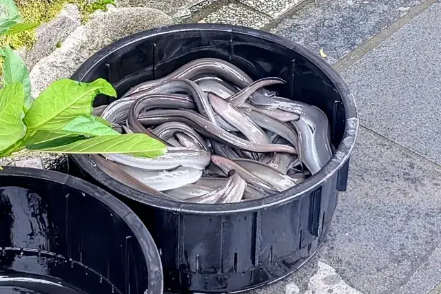 【薩摩川内市】土日休み×残業なし！未経験OKの魚の加工食品工場スタッフ募集！／20代～60代活躍中の職場です♪