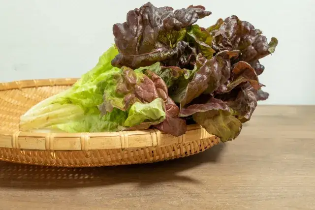 【午前中のみの勤務・扶養内】手のひらサイズの軽量野菜を選別し検品するお仕事♪適度に身体を動かせて健康にも◎