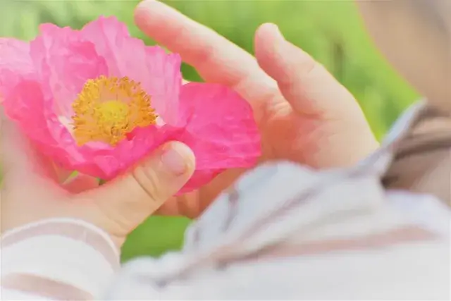 採用基準は「お花が好きな方」です！