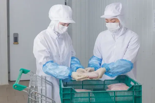 ペット用おやつの製造、袋・箱詰め、検品等