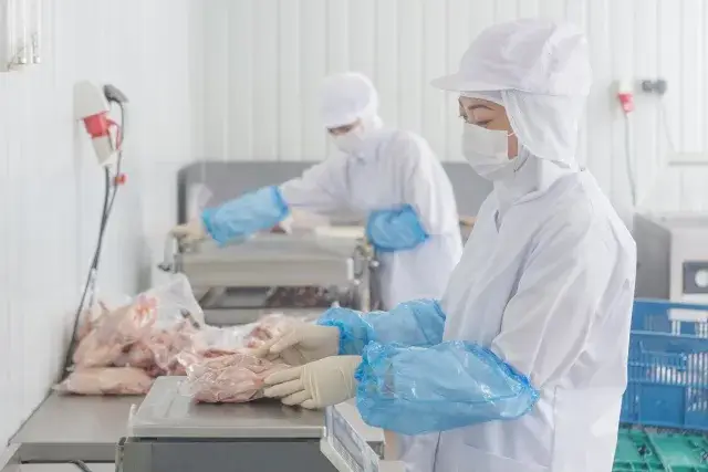 食肉工場でのライン作業！モクモク作業が好きという方におススメです♪