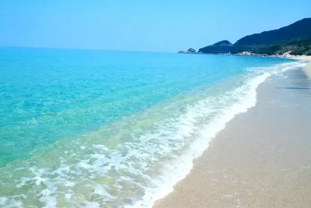 期間限定求人！1名募集／自然あふれる世界遺産の島、屋久島で事務のお仕事